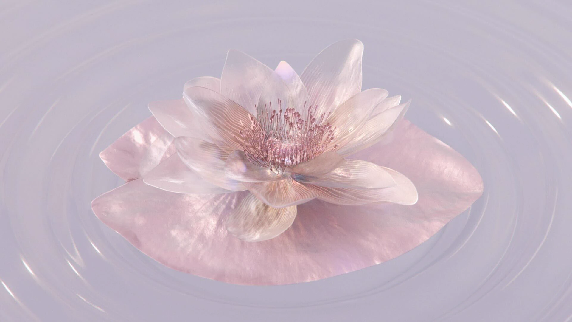 Image-from-iOS-1